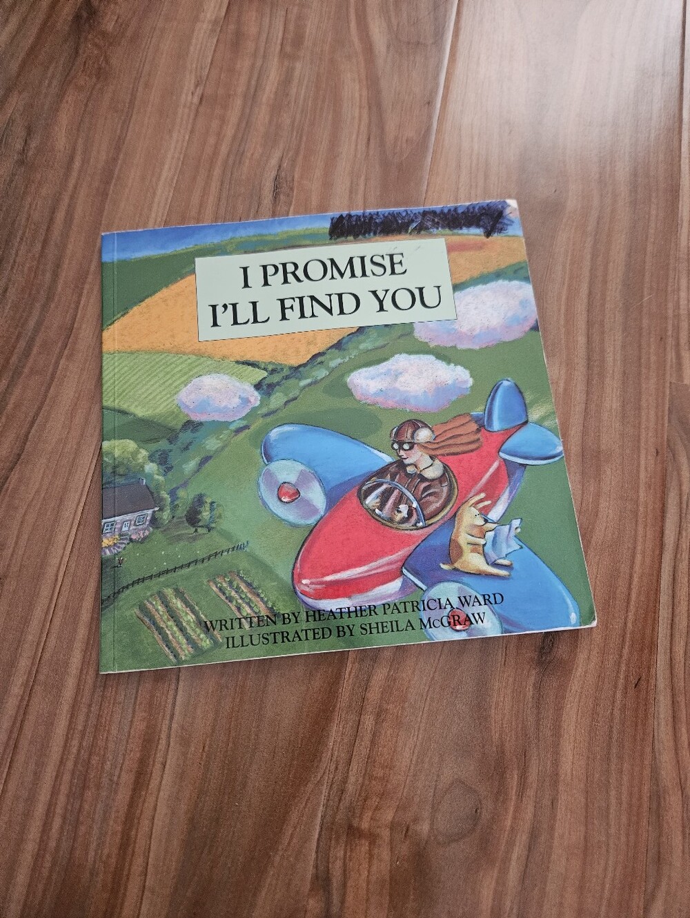 I Promise I'll Find You Children's Picture Book - Red & Blue Cover